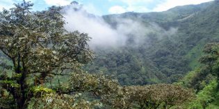 Bosque nuboso de la Esperanza, Bucay. Chimborazo. Andes. Ecuador