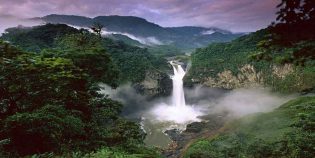 Parque Nacional Yasuni, Sucumbios. Amazonas. Ecuador