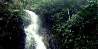 Manuel Waterfalls, El Guabo, El Oro. Coast. Ecuador